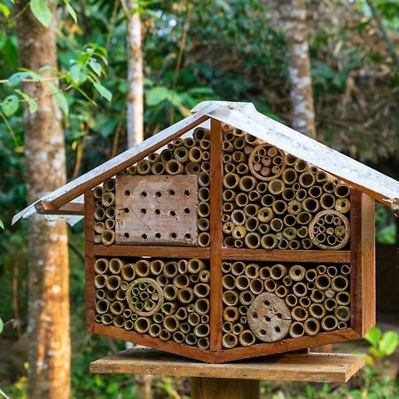 Bosque Guardian Lodge Tarapoto Εξωτερικό φωτογραφία