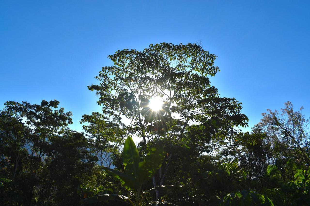 Bosque Guardian Lodge Tarapoto Εξωτερικό φωτογραφία