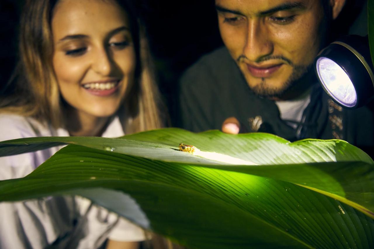 Bosque Guardian Lodge Tarapoto Εξωτερικό φωτογραφία