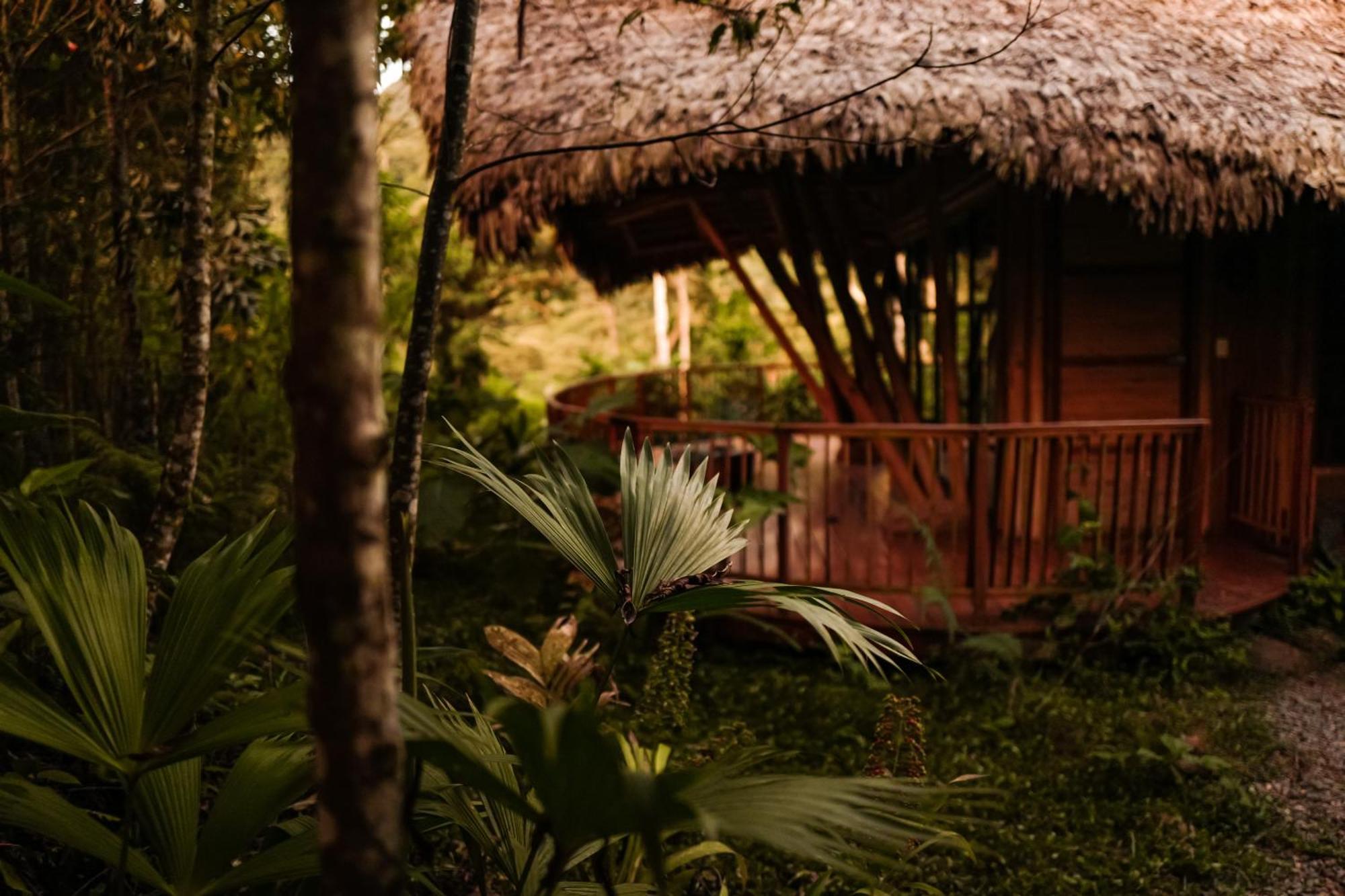 Bosque Guardian Lodge Tarapoto Εξωτερικό φωτογραφία