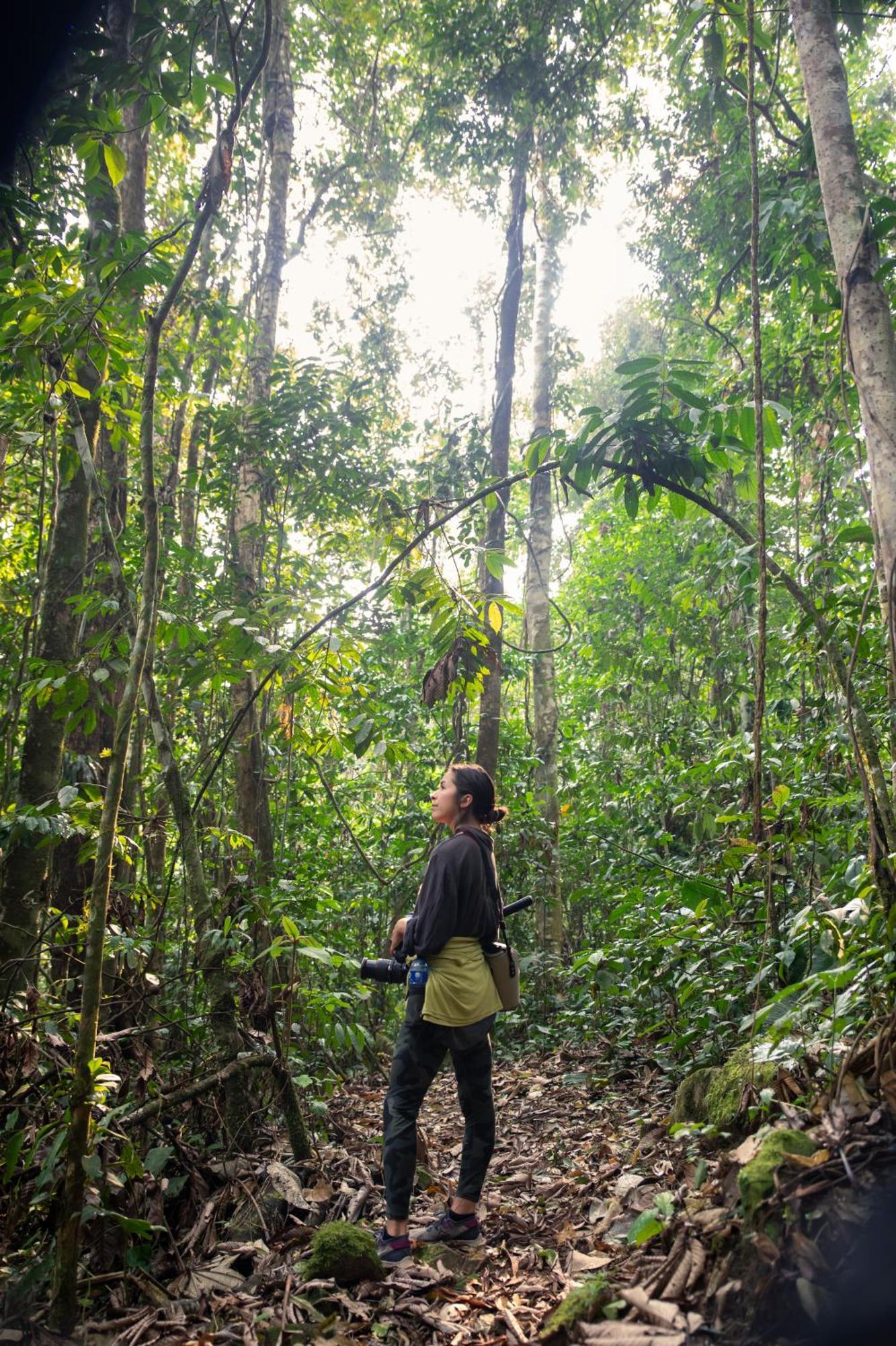 Bosque Guardian Lodge Tarapoto Εξωτερικό φωτογραφία
