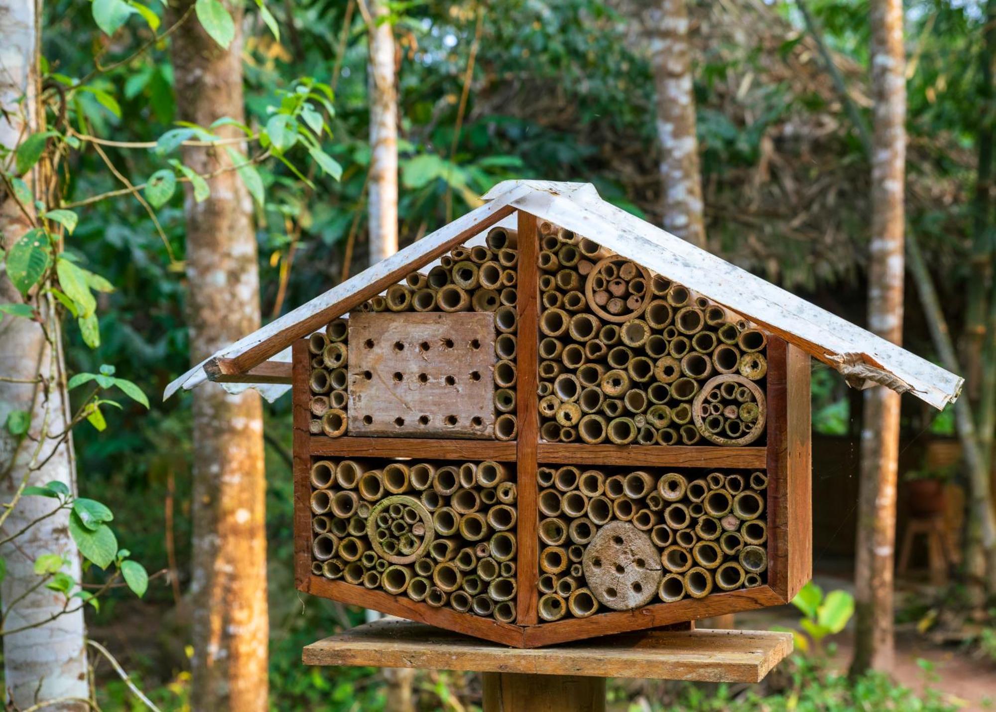 Bosque Guardian Lodge Tarapoto Εξωτερικό φωτογραφία
