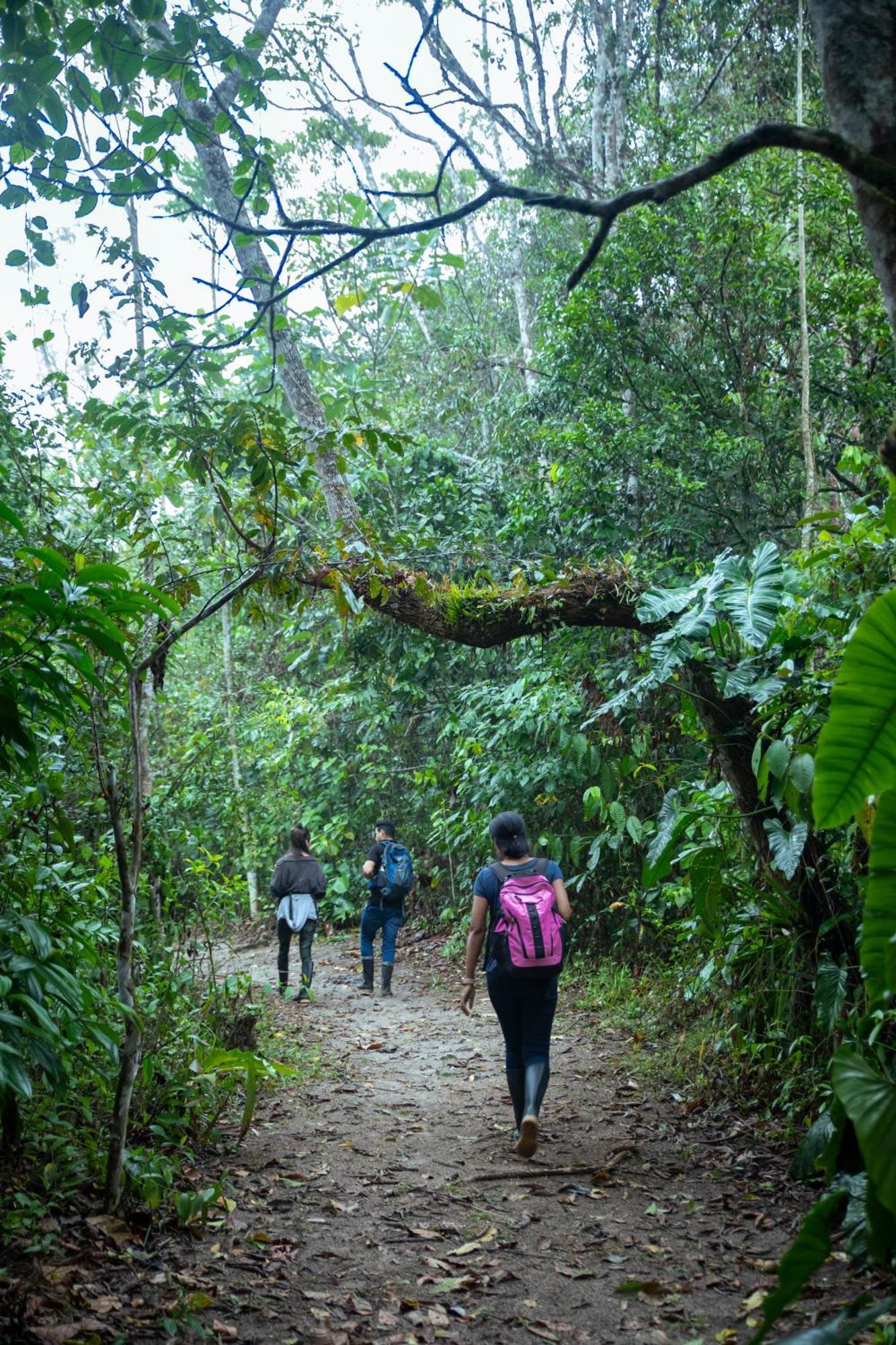 Bosque Guardian Lodge Tarapoto Εξωτερικό φωτογραφία