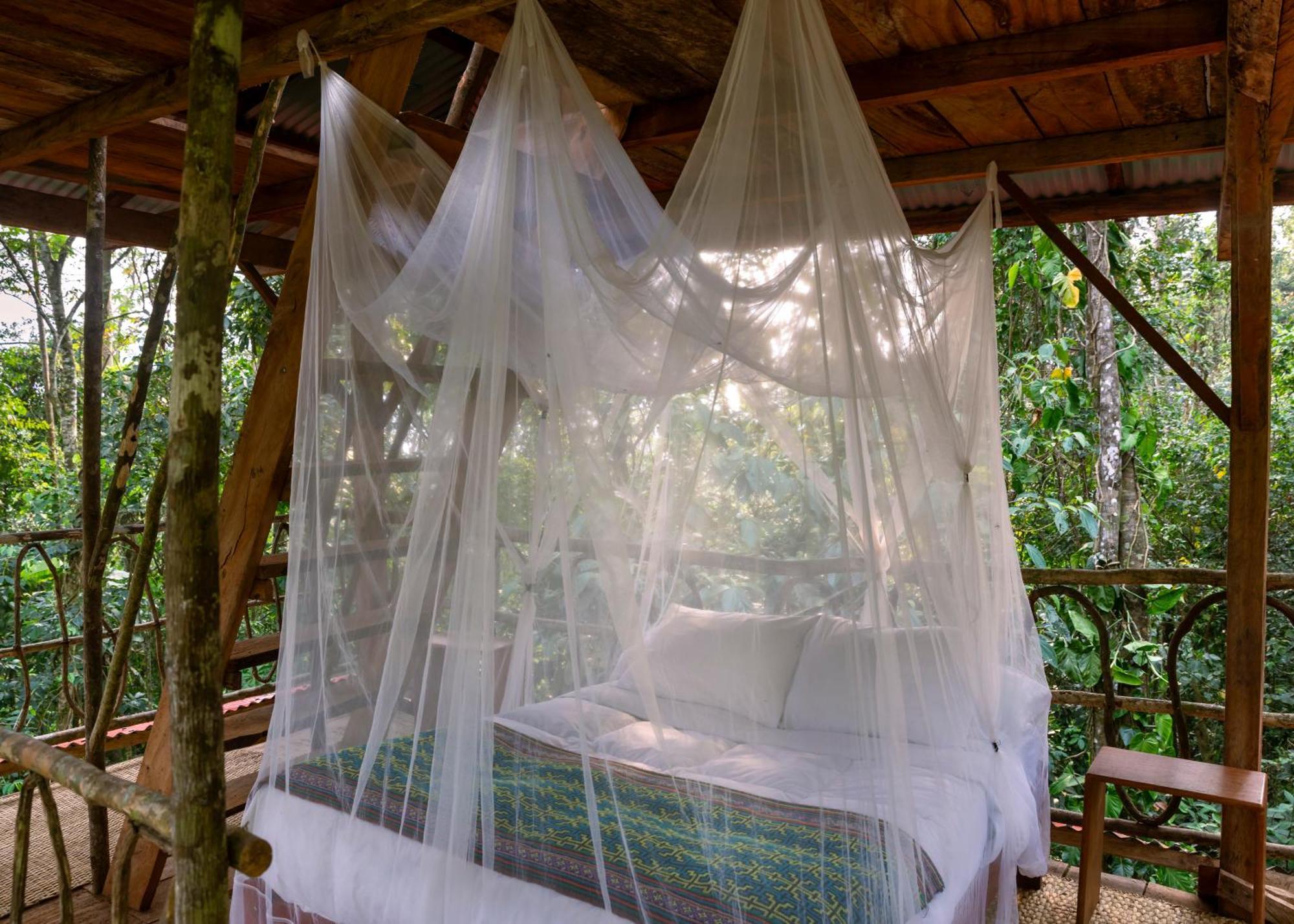 Bosque Guardian Lodge Tarapoto Εξωτερικό φωτογραφία