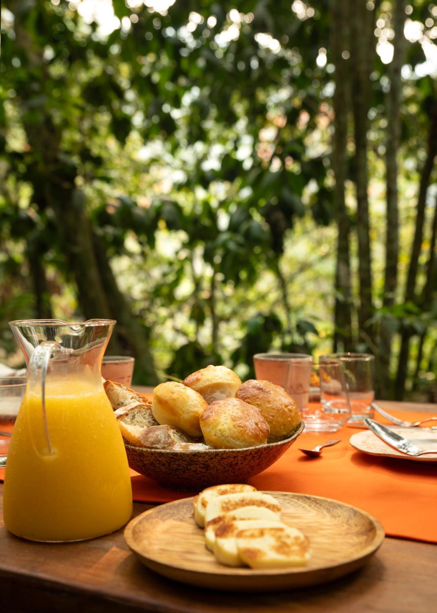 Bosque Guardian Lodge Tarapoto Εξωτερικό φωτογραφία