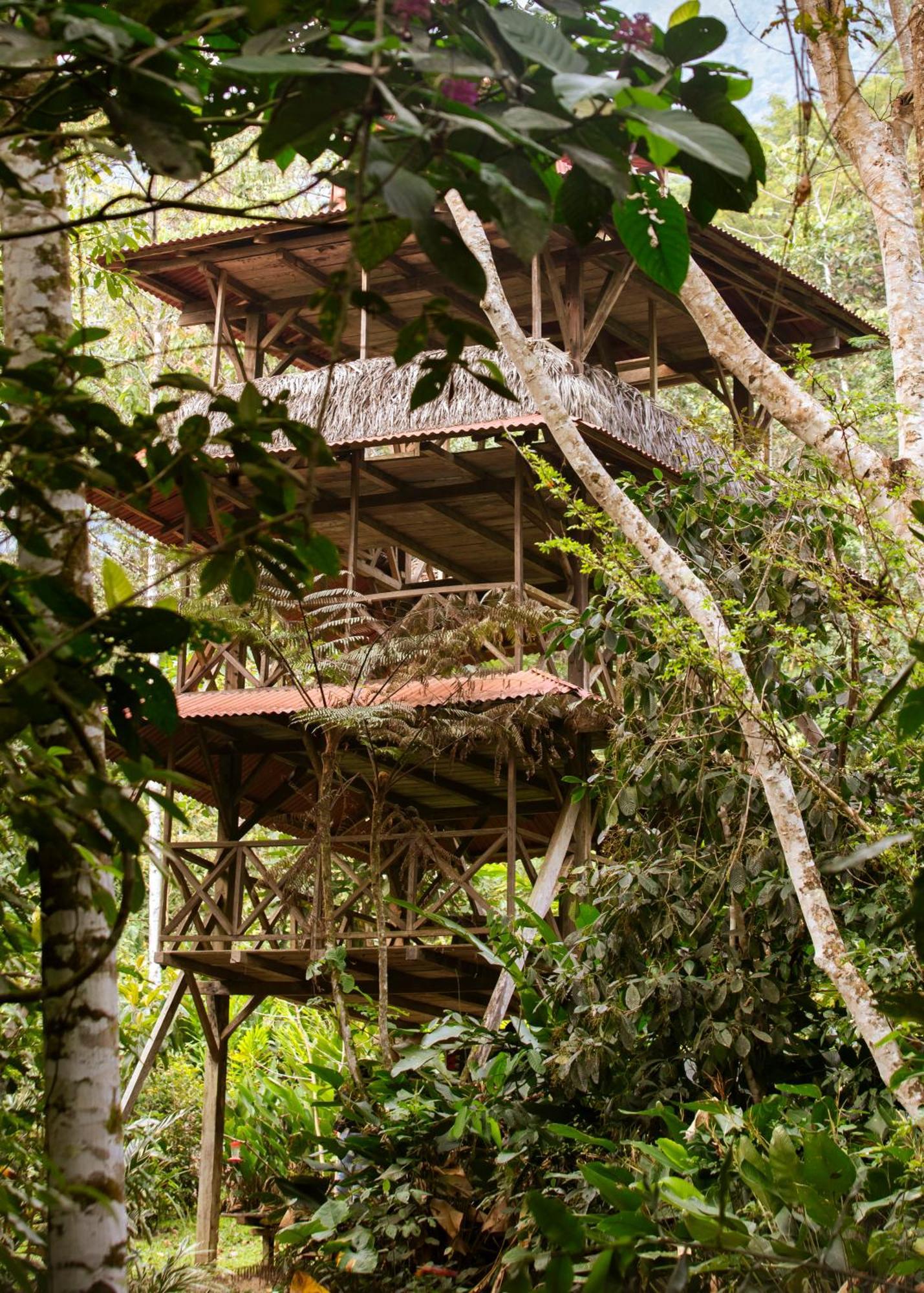 Bosque Guardian Lodge Tarapoto Εξωτερικό φωτογραφία
